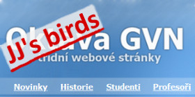 jjsbirds.konhefr.com